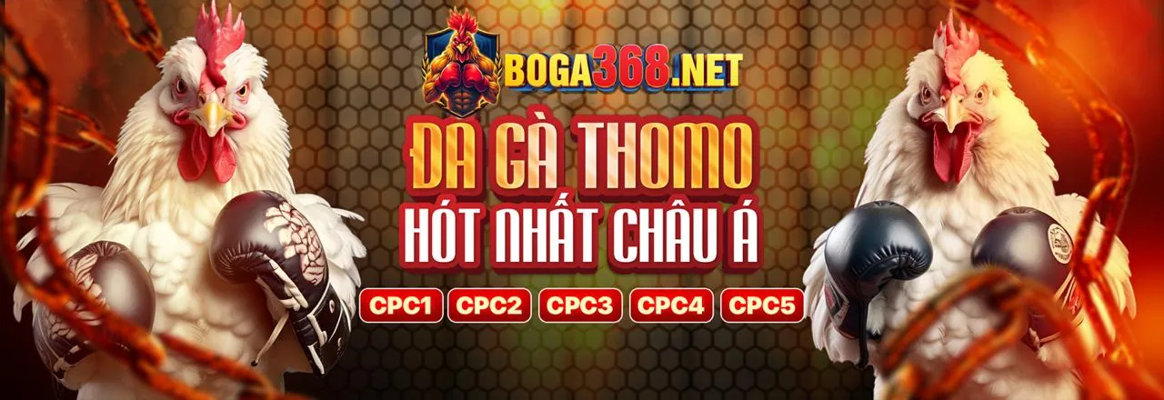 Đá gà trực tuyến 88a